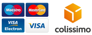 visa mastercard